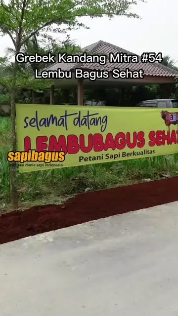 Lembu-Bagus-Sehat-Farm